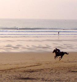 Reiten in Doonbeg